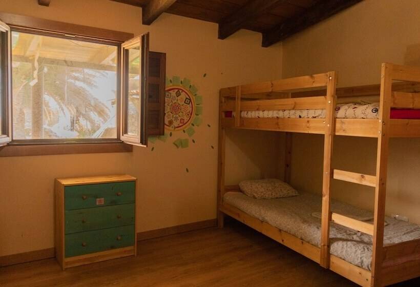 Twin Fin Surf Camp Hostel