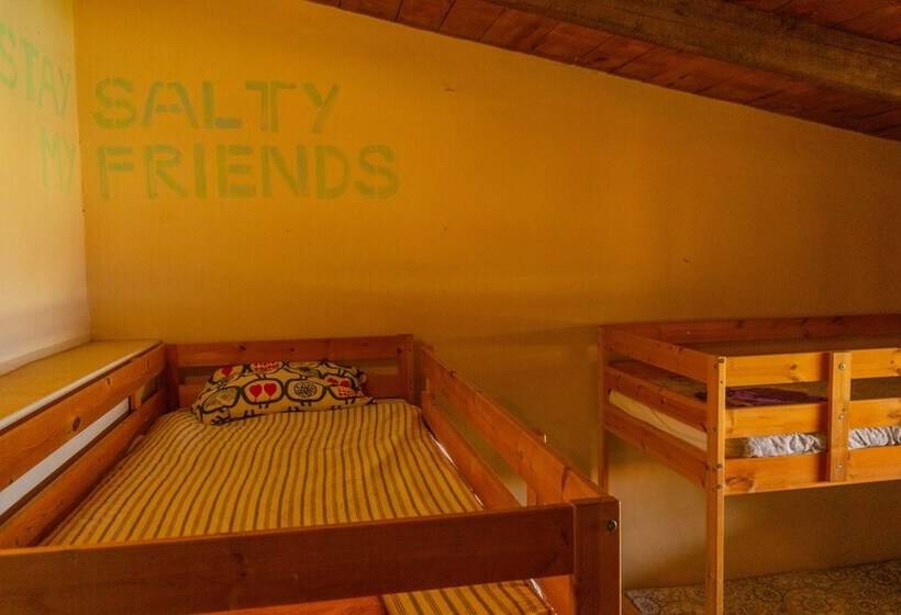 Twin Fin Surf Camp Hostel