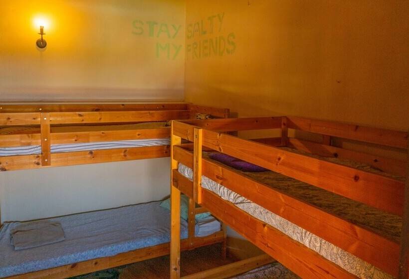 Twin Fin Surf Camp Hostel