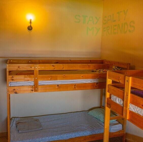 Twin Fin Surf Camp Hostel