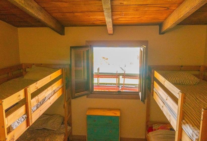 Twin Fin Surf Camp Hostel