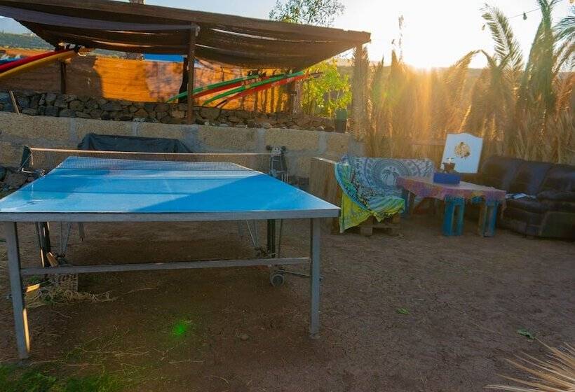 Twin Fin Surf Camp Hostel