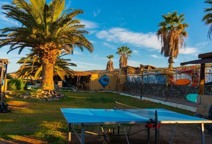 Twin Fin Surf Camp Hostel