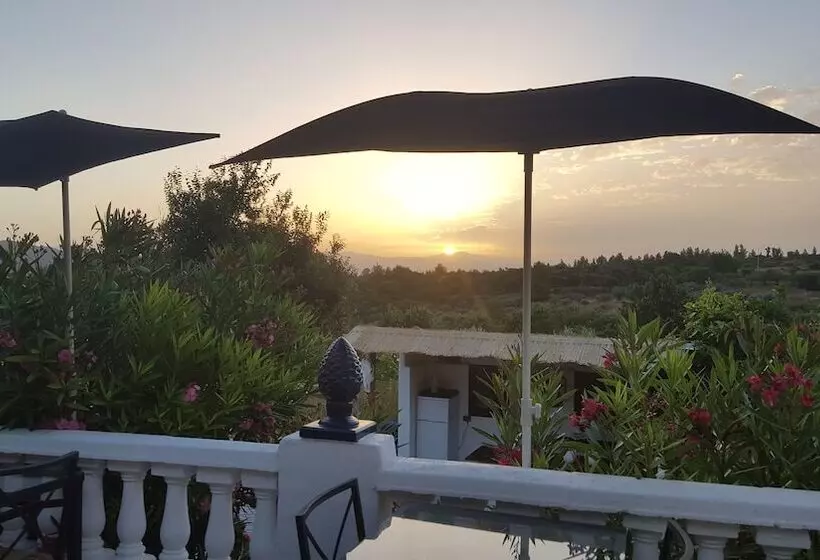 ベッドアンドブレックファースト Finca Rayo Del Sol