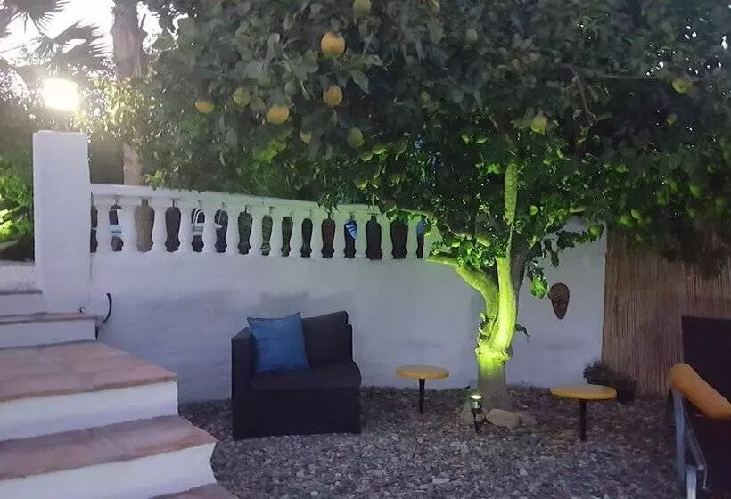 ベッドアンドブレックファースト Finca Rayo Del Sol