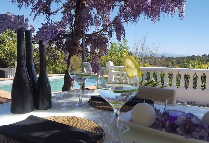 Bed and Breakfast Finca Rayo Del Sol