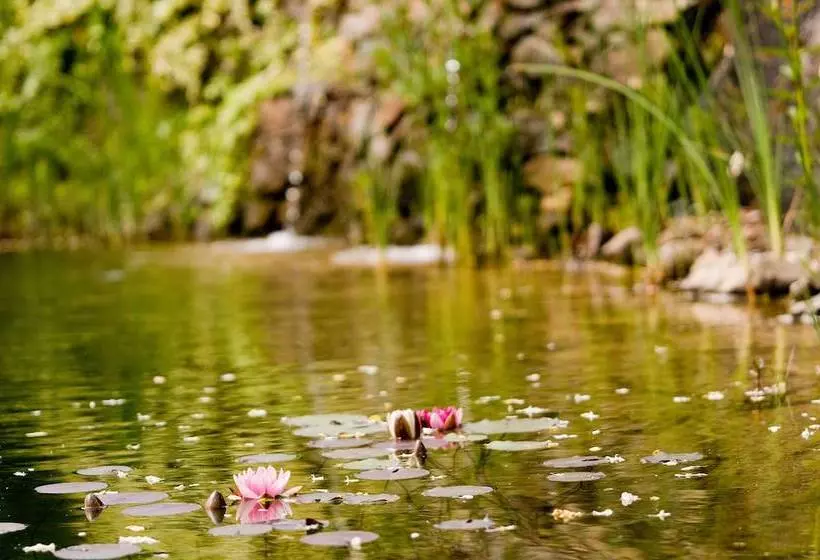 تختخواب و صبحانه Mas Ardevol Pt106