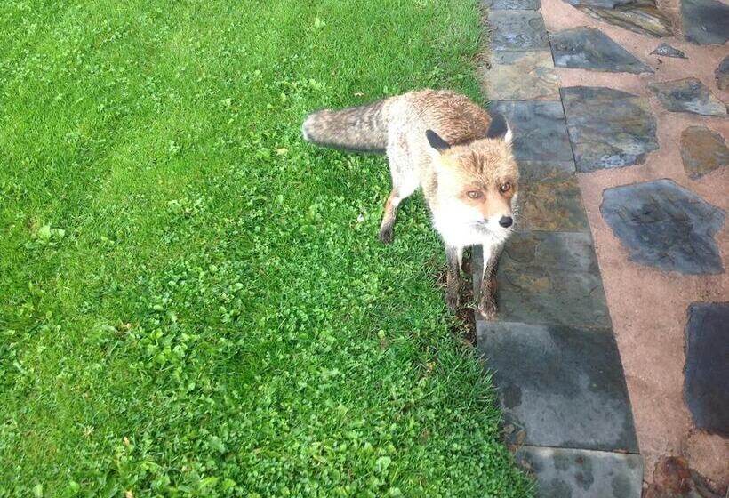 Хостел Casa Rural La Calera