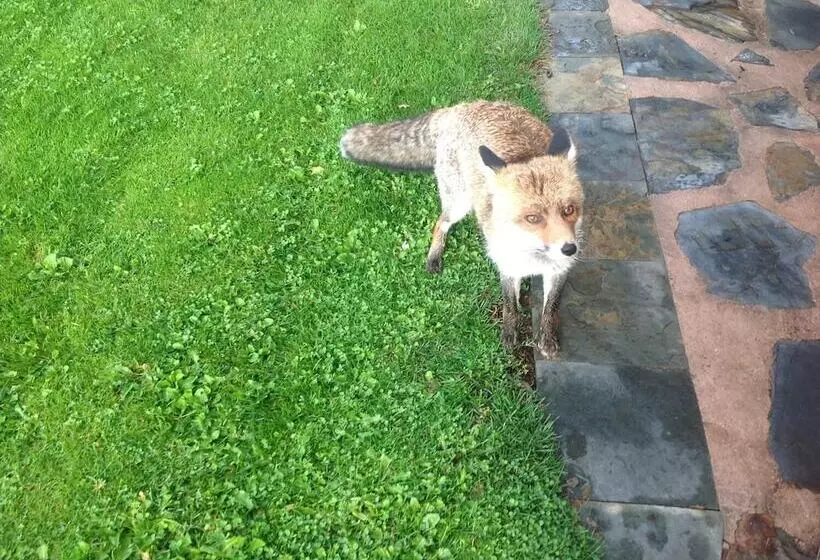 簡易ホテル Casa Rural La Calera