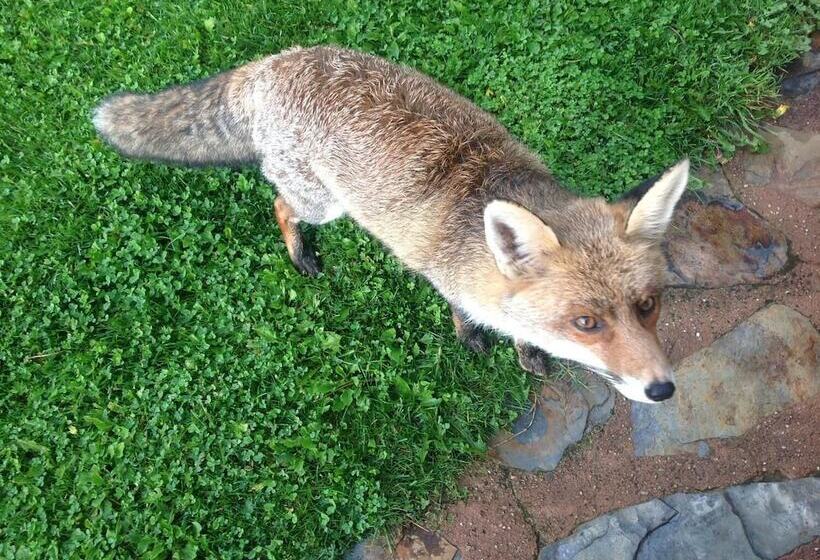 Хостел Casa Rural La Calera