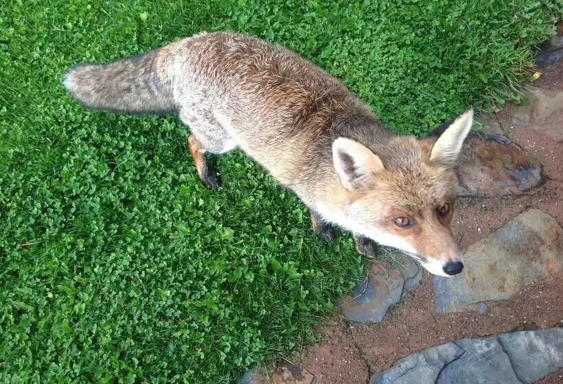 簡易ホテル Casa Rural La Calera