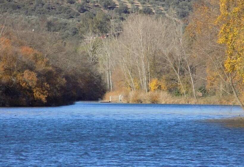 فندق فئة نجمة واحدة Cuatro Caminos