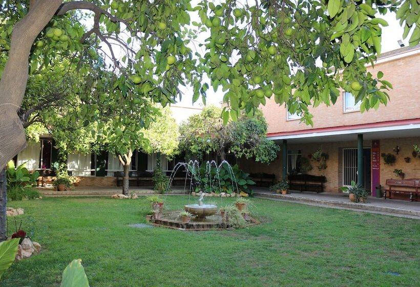 فندق فئة نجمة واحدة Lantana Garden