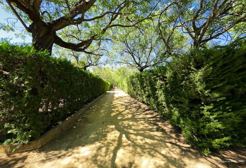 فندق فئة نجمة واحدة Lantana Garden