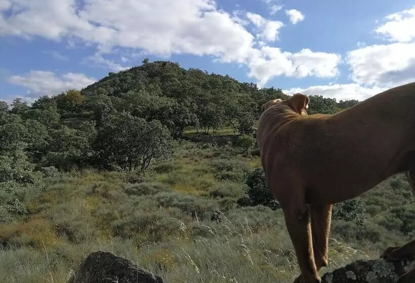 ホテル Las Glorias