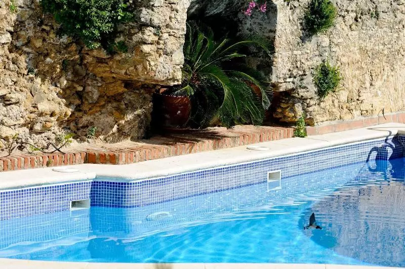 Las Palmeras Del Califa