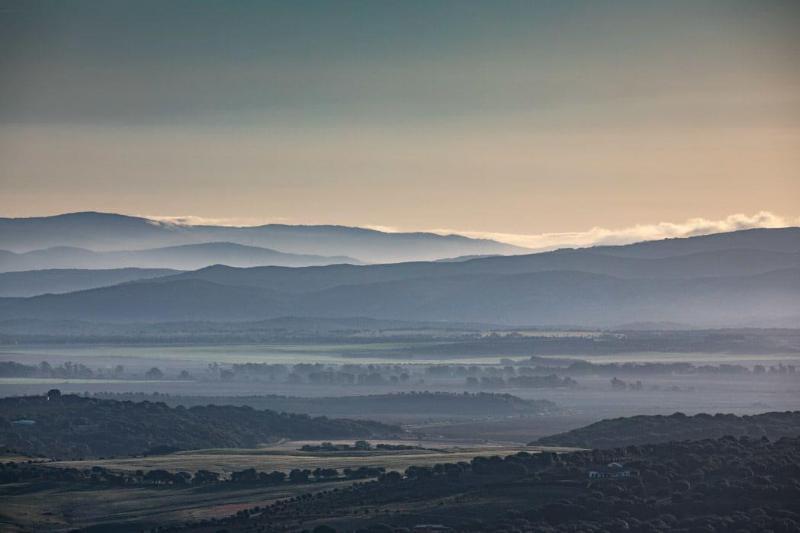 Las Palmeras Del Califa