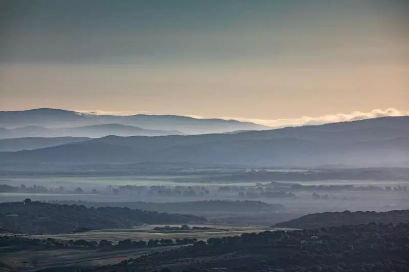 Las Palmeras Del Califa
