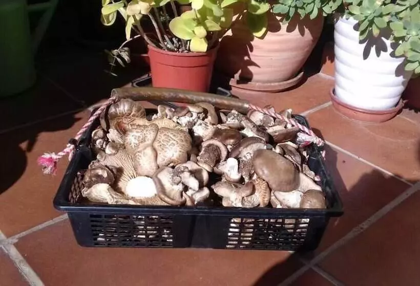 Majatalo Arroyo Milano Casa Rural