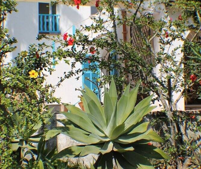 Villa Canyamel, Piscina Privada, Wifi, Jardin, Tranquilidad