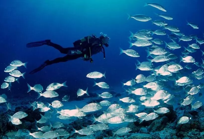 Villa Marina Del Port