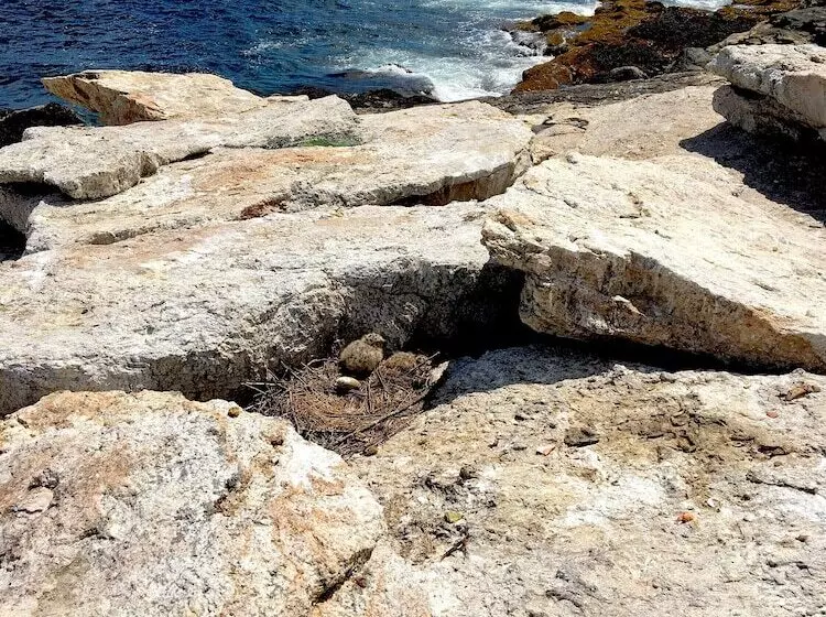 Captain Sawyer S Bed & Breakfast