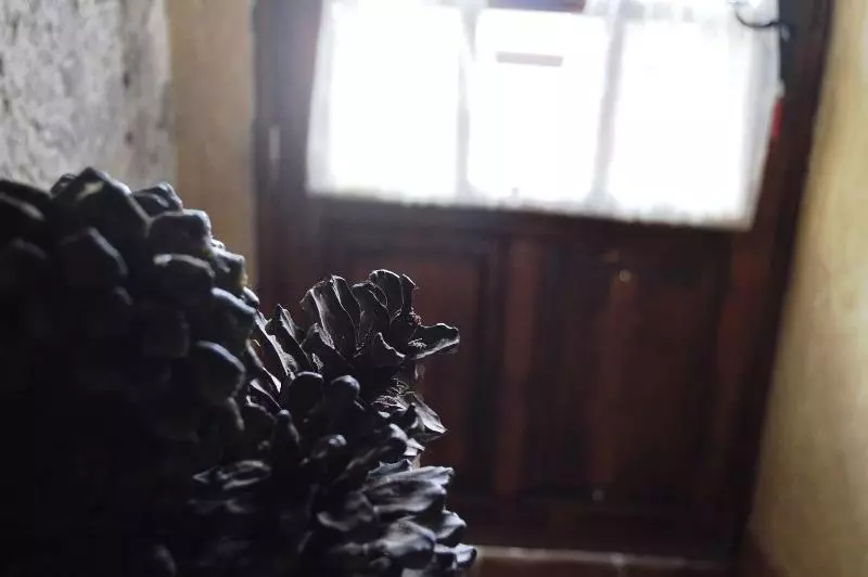 Casa Rural   Ländliches Haus, Pepita La De Las Flores