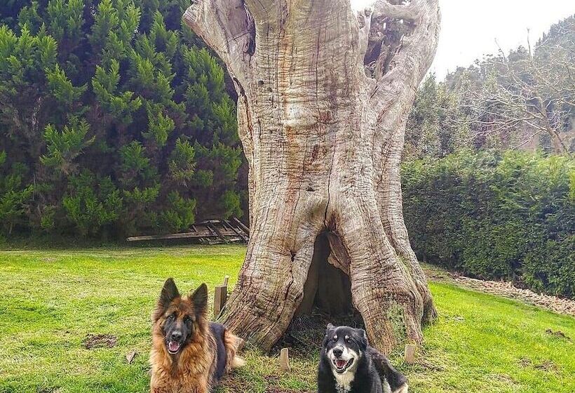 فندق ريفى Lezamakoetxe