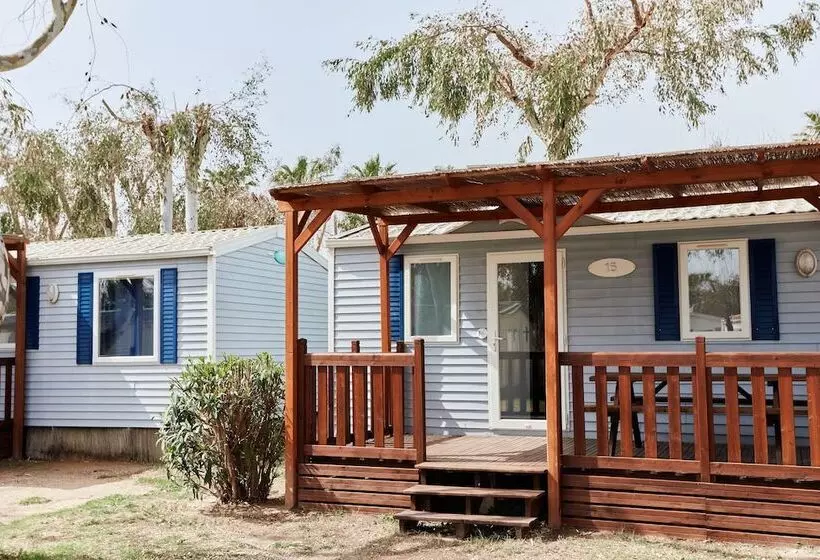 ホテル Taiga Delta De L Ebre