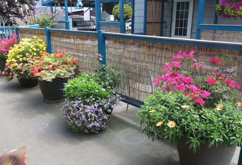 מוטל Mermaid Inn