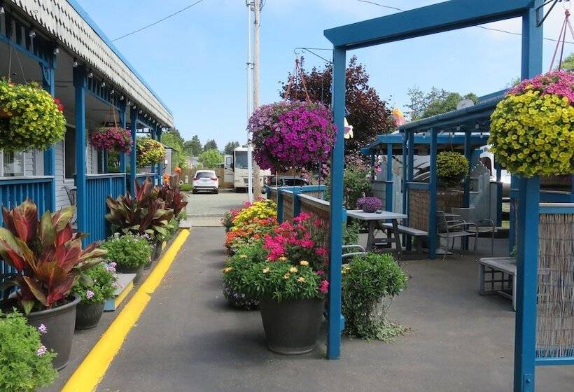 מוטל Mermaid Inn