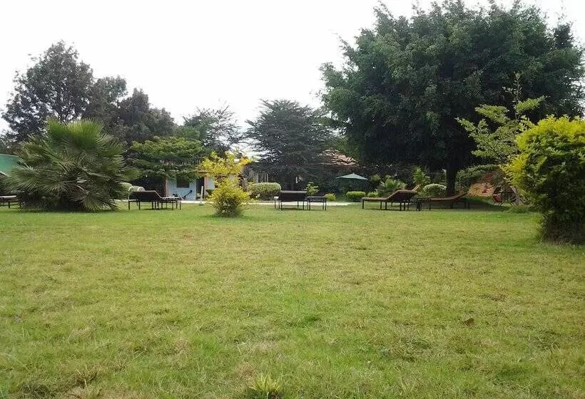 ホテル Flamingo Safari Lodge