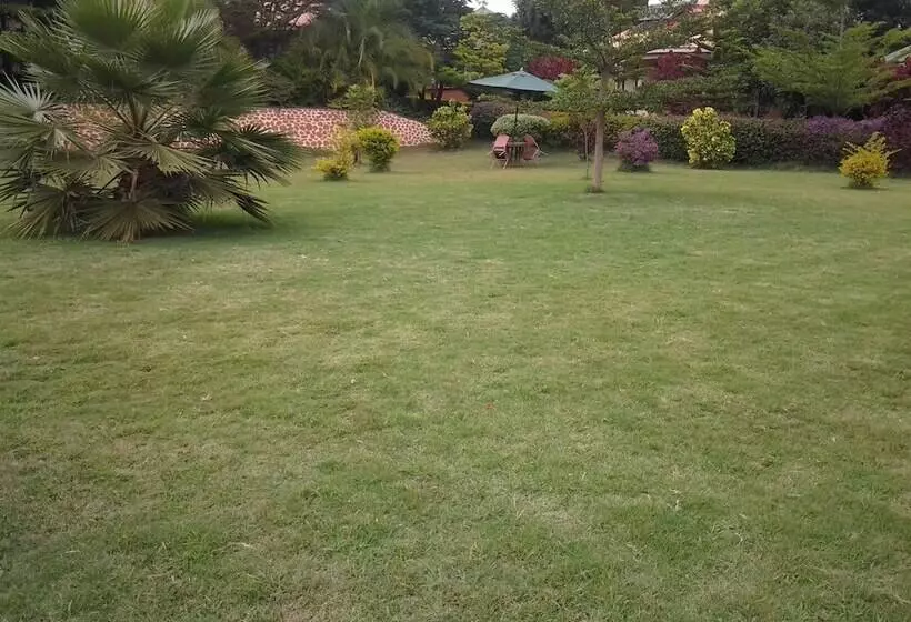 ホテル Flamingo Safari Lodge