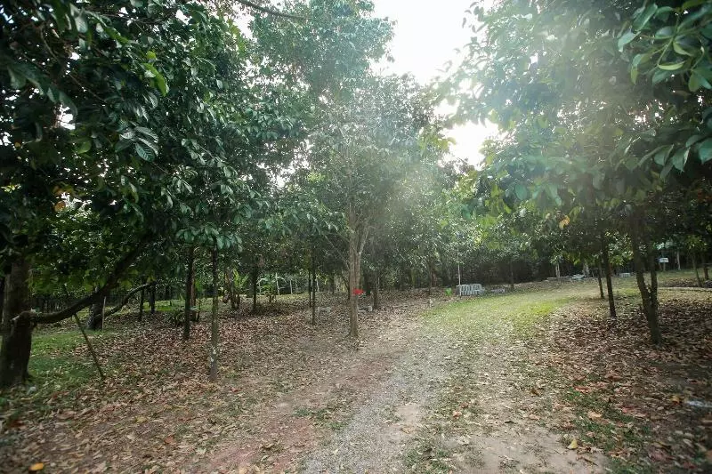 ホテル Khao Hin Tang Resort