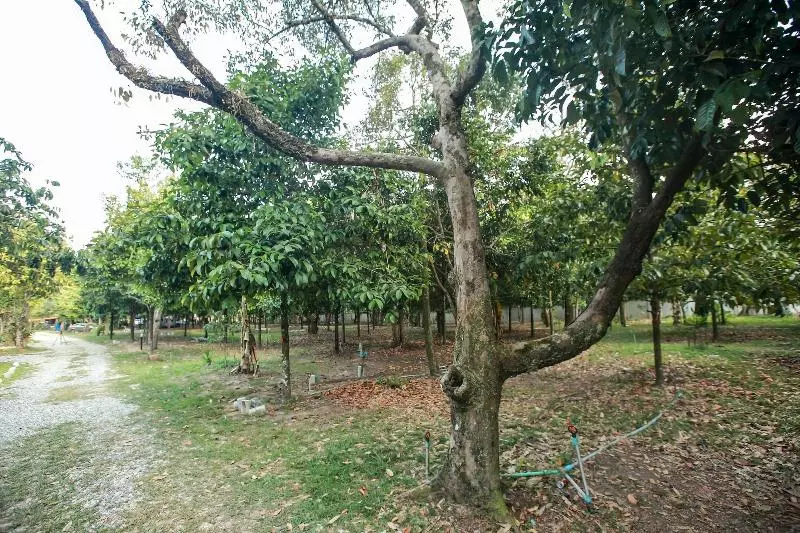 ホテル Khao Hin Tang Resort