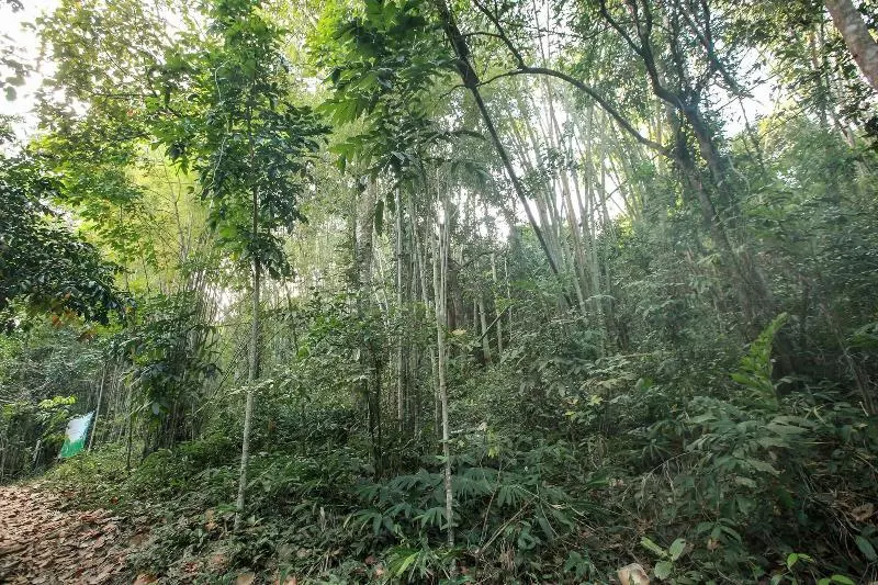ホテル Khao Hin Tang Resort