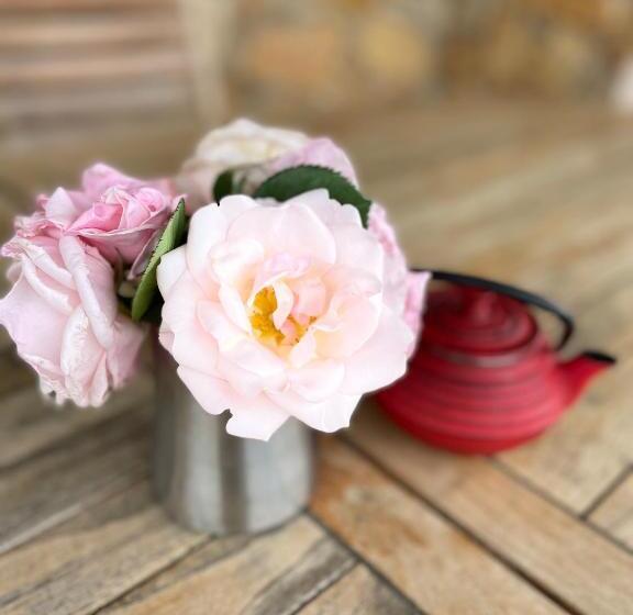 צימר Lou Candelou