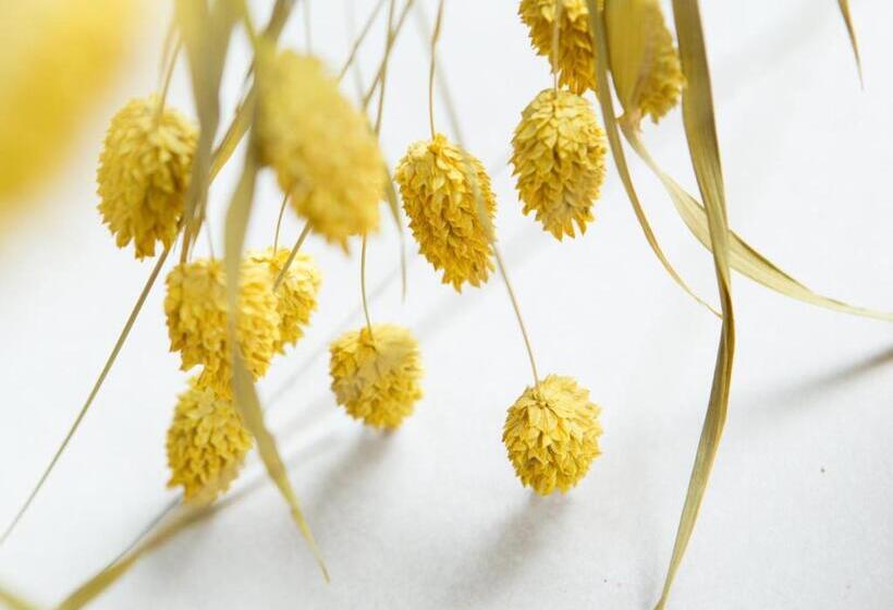 تختخواب و صبحانه Wei Sen House