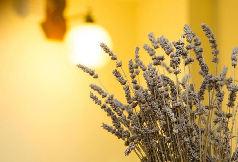 تختخواب و صبحانه Wei Sen House