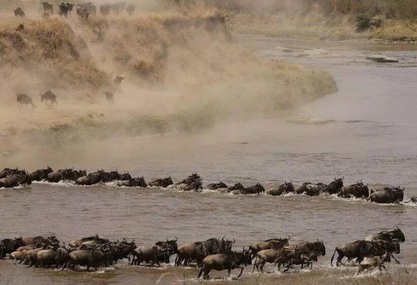 ホテル Gnu Mara River Camp