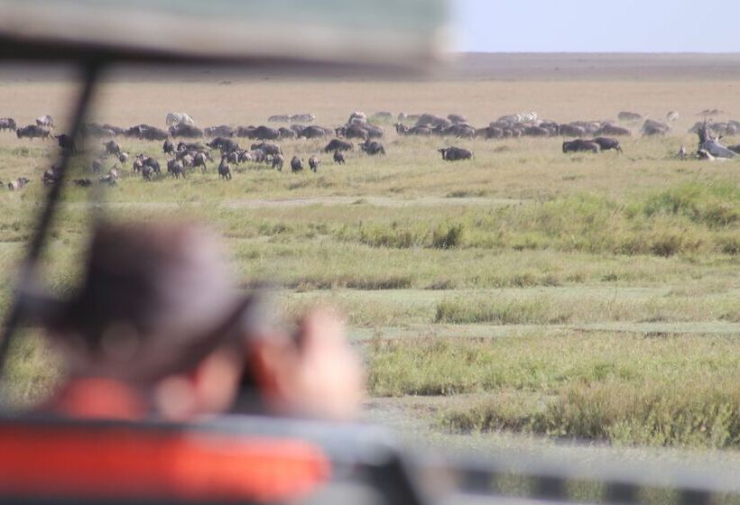 هتل Gnu Mara River Camp