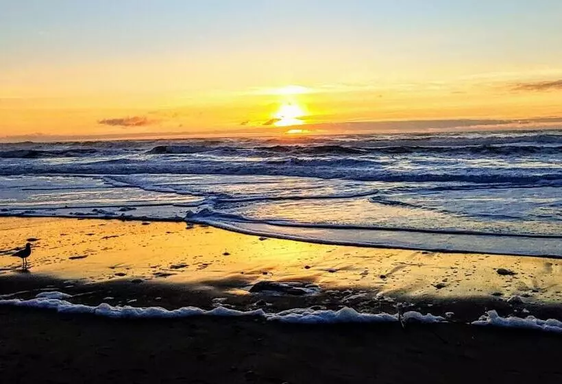 Hotelli Starfish Manor Oceanfront