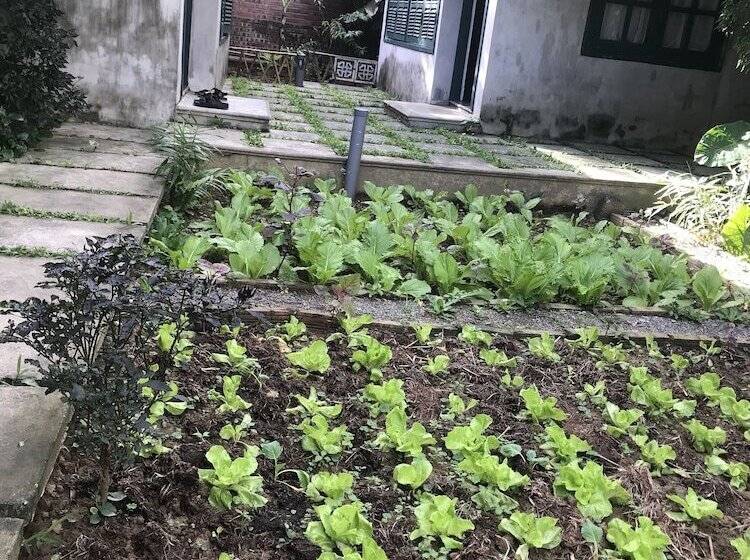 تختخواب و صبحانه Tam Coc Eco House