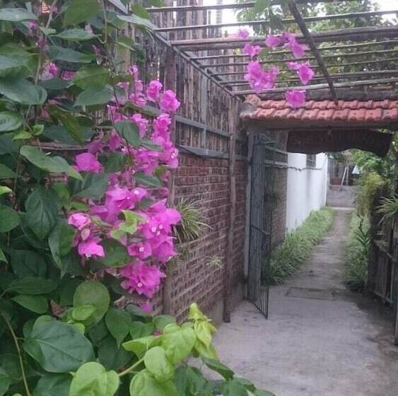 تختخواب و صبحانه Tam Coc Eco House