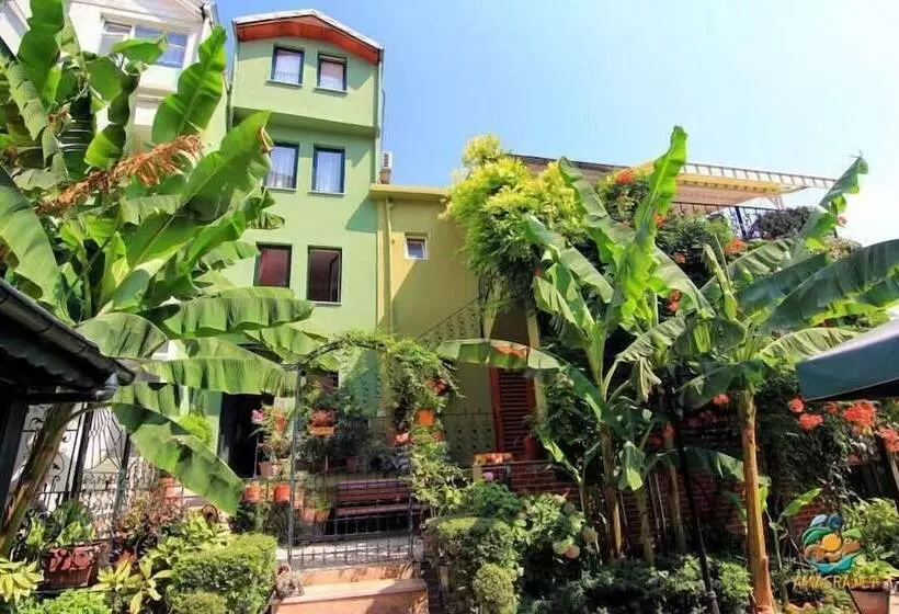 簡易ホテル Emin Butik Otel Amasra