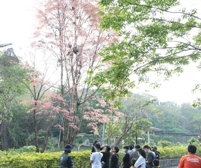 Otel Cabbages & Condoms Khaoyai Resort