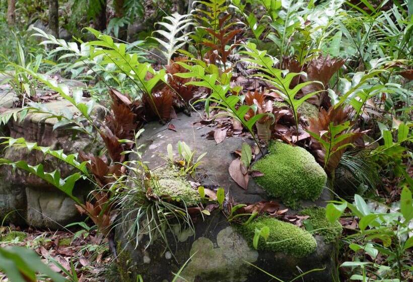 בית מלון כפרי Mata Guesthouse