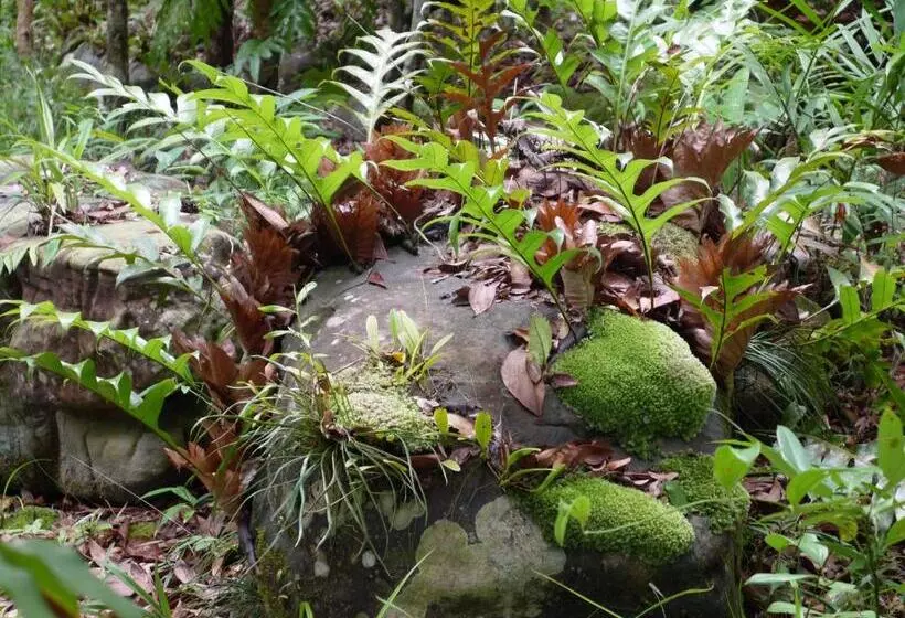 ホテル Mata Guesthouse