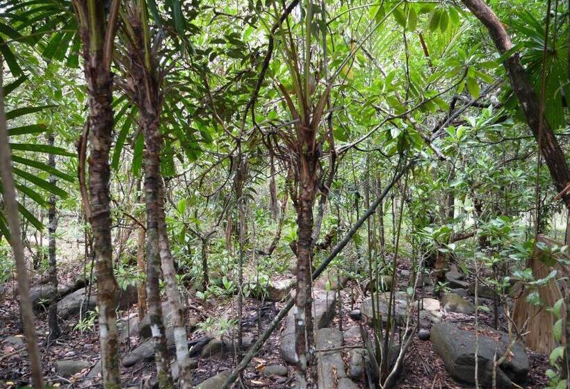 בית מלון כפרי Mata Guesthouse