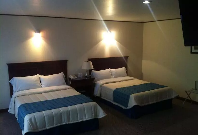 ホテル Tehuacan Plaza